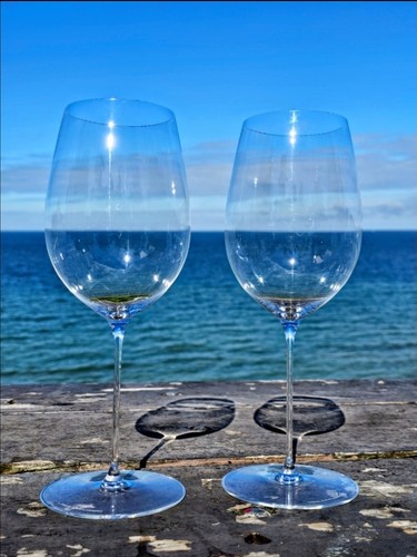 Riedel superleggero bordeaux - riedel,